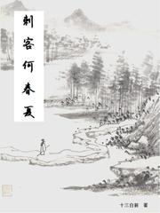 刺客何春夏章节列表
