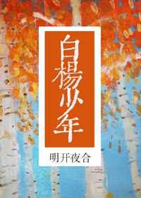 白杨少年章节列表