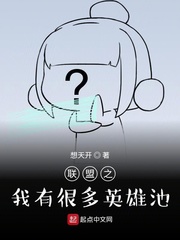 联盟之我有很多英雄池章节列表