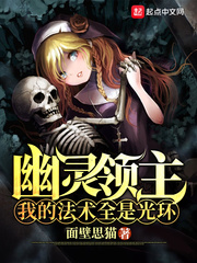 幽灵领主：我的法术全是光环章节列表