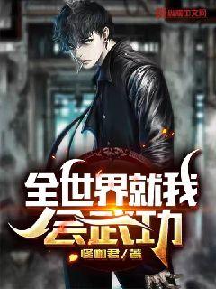 全世界就我会武功章节列表