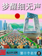 梦醒细无声章节列表