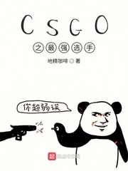 CSGO之最强选手章节列表