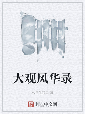 大观风华录章节列表