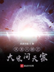 天龙八部之大宋问天宗章节列表