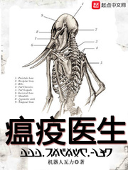 黎明医生章节列表