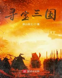 寻宝三国章节列表
