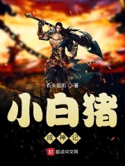 小白猪成神记章节列表