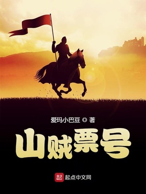 山贼票号章节列表