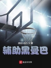 辅助黑曼巴章节列表