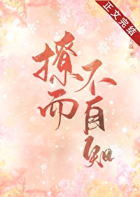 撩而不自知章节列表