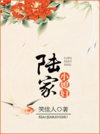 陆家小媳妇章节列表