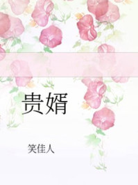 贵婿章节列表