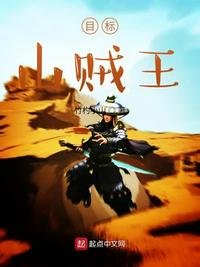 目标！山贼王章节列表