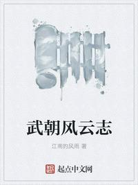 武朝风云志章节列表