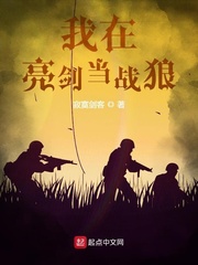 我在亮剑当战狼章节列表