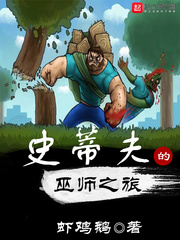 史蒂夫的巫师之旅章节列表