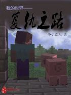 我的世界——复仇之路章节列表