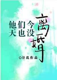 他们今天也没离婚章节列表