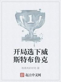 开局选下威斯特布鲁克章节列表