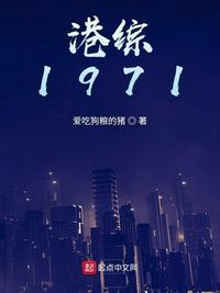 港综1971章节列表