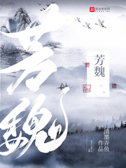 芳魏章节列表