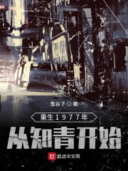 重生1977年从知青开始章节列表