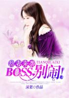 BOSS别闹章节列表