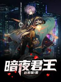 暗夜君王江夜林初雪章节列表
