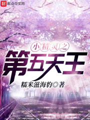 小精灵之第五天王章节列表