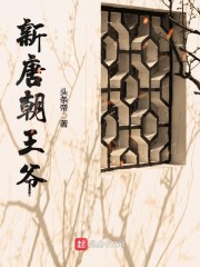 新唐朝王爷章节列表