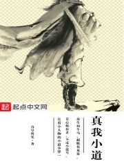 真我小道章节列表