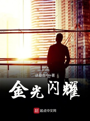 金光闪耀章节列表