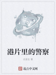 港片里的警察章节列表