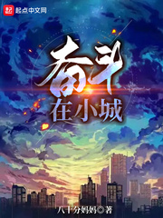 奋斗在小城章节列表