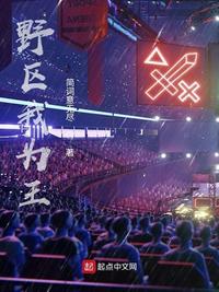 野区我为王章节列表