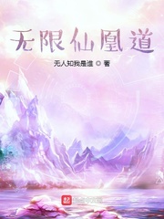 无限仙凰道章节列表