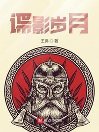 谍影岁月章节列表
