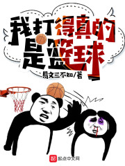 我打得真的是篮球章节列表