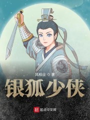 银狐少侠章节列表