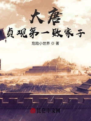 大唐：贞观第一败家子章节列表