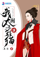 迪奥先生章节列表