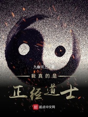 我真的是正经道士章节列表