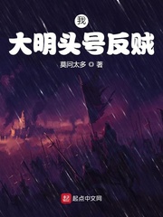 我，大明头号反贼章节列表