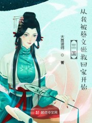 三国：从我被蔡文姬救回家开始章节列表