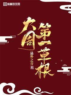 大周第一草根章节列表