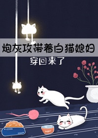 炮灰攻带着白猫媳妇穿回来了章节列表