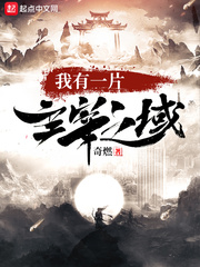 我有一片主宰之域章节列表