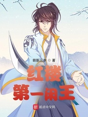 红楼第一闲王章节列表