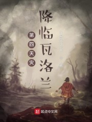 第四天灾降临瓦洛兰章节列表
